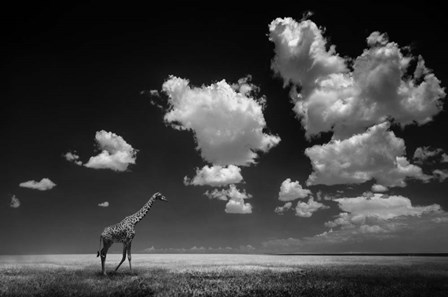 Gone With The Clouds by Alberto Ghizzi Panizza art print