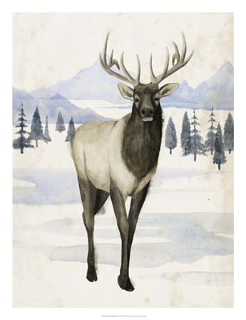 Alaskan Wilderness II by Grace Popp art print