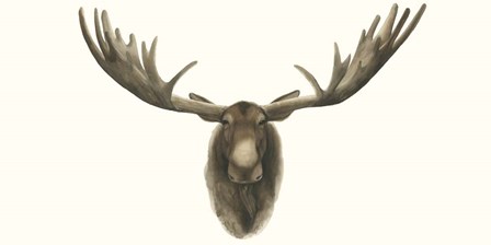 Moose Bust by Grace Popp art print