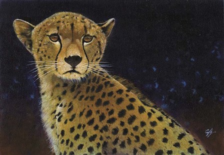 Cheetah by Durwood Coffey art print