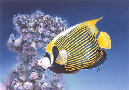 Emperor Angel by Durwood Coffey art print