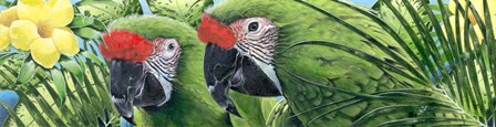 Military Macaws by Durwood Coffey art print