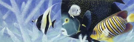 Reef I by Durwood Coffey art print