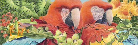 Scarlet Macaws by Durwood Coffey art print