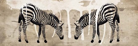 Two Zebras by Erin Clark art print