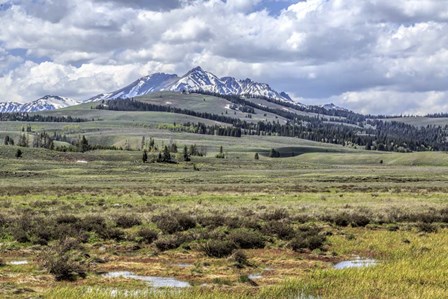 Electric Peak by Galloimages Online art print