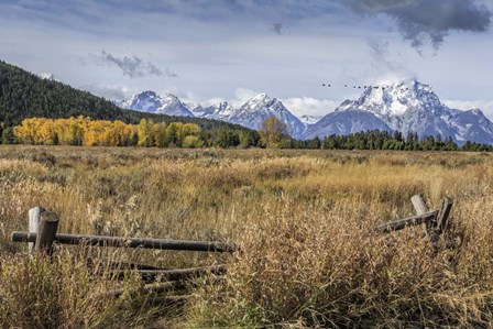 GTNP Scene Mt. Moran by Galloimages Online art print