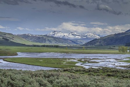 Lamar Valley (YNP) by Galloimages Online art print