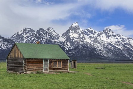 Mormon Row Log Cabin by Galloimages Online art print