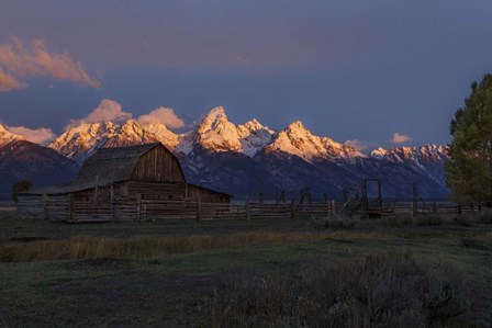 Moulton Barn At Sunrise by Galloimages Online art print