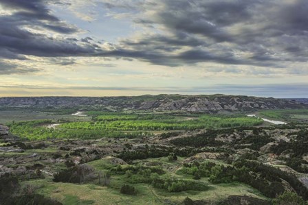 Oxbow Overlook (TRNP) by Galloimages Online art print