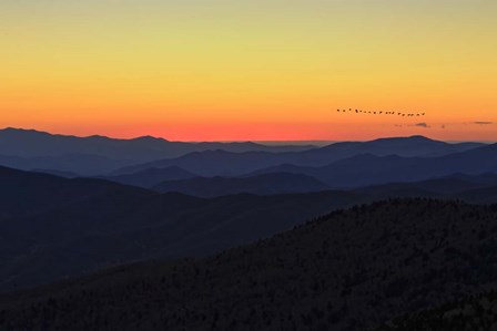 Sunset (GSMNP) by Galloimages Online art print