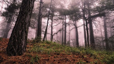 Mountain by Giuseppe Torre art print