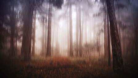 Magic by Giuseppe Torre art print