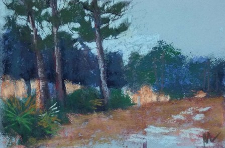 Lean to the Left, Julington Durbin Preserve Series by Marie Marfia Fine Art art print