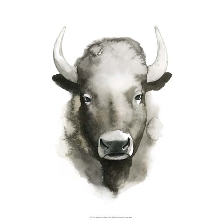 Watercolor Buffalo by Grace Popp art print