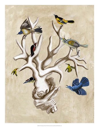 The Ornithologist&#39;s Dream II by Naomi McCavitt art print