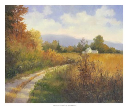 Autumn Country Road by Mary Jean Weber art print