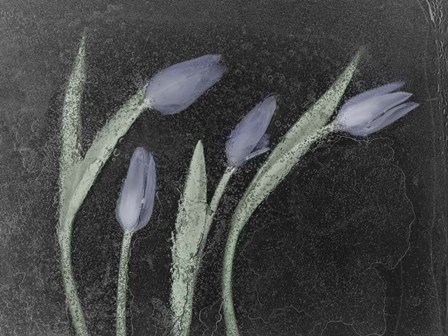 Tulipanes Azules by Moises Levy art print