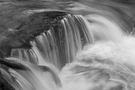 Cascada 1 by Moises Levy art print