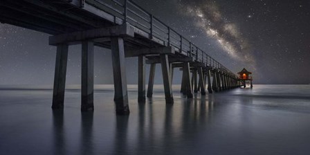 Still Searching by Moises Levy art print