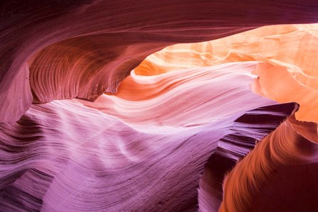 The Wave 2 by Moises Levy art print