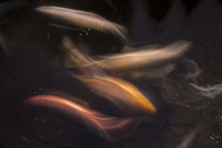 Movement 1 by Moises Levy art print