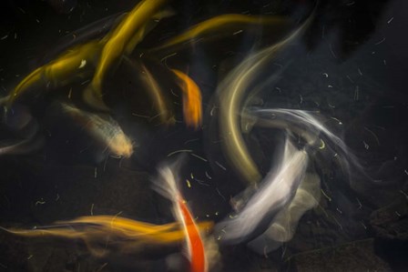 Movement 2 by Moises Levy art print