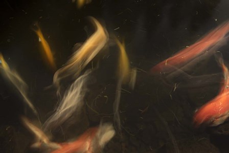 Movement 3 by Moises Levy art print