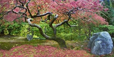 Pink Tree by Moises Levy art print