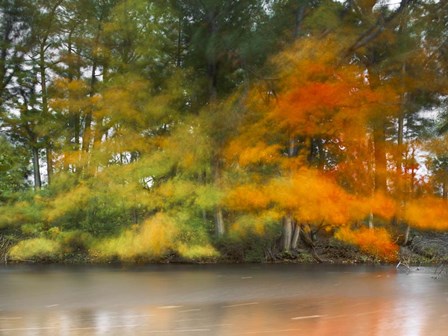 Trees,Water and wind by Moises Levy art print