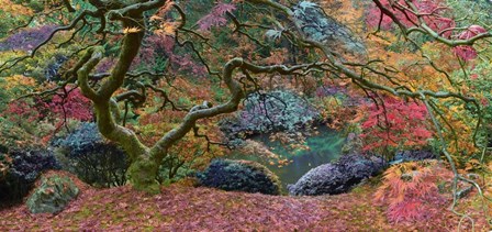 Final Rainbow Tree by Moises Levy art print