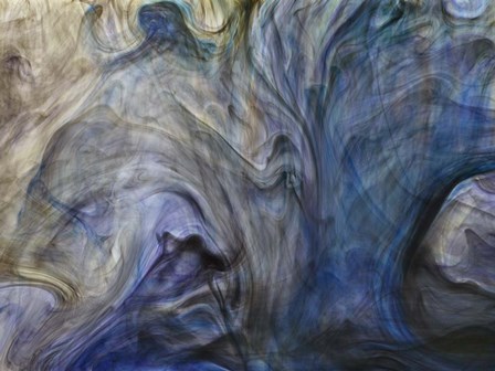 Ephemeral Beauty 1 by Moises Levy art print