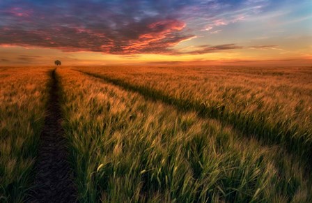 Somewhere At Sunset by Piotr Krol (Bax) art print