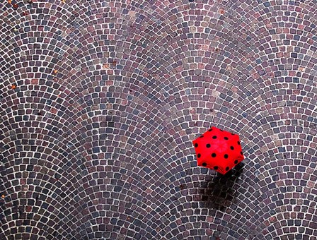 Urban Ladybug by Franco Maffei art print
