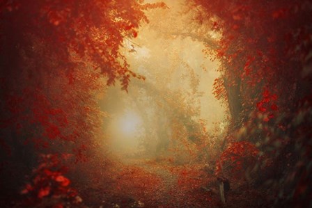 Personal Journey by Ildiko Neer art print