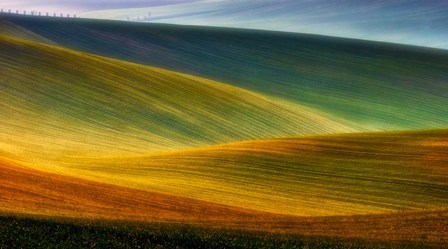 Spring Fields by Piotr Krol (Bax) art print