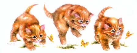 Kitten And Butterfly by Peggy harris art print
