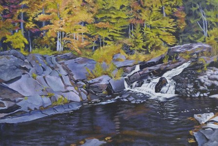 Brook by Rusty Frentner art print