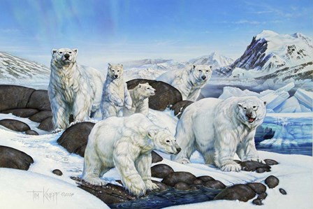 Polar Bears by Tim Knepp art print