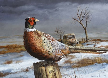 Old Perch by Trevor V. Swanson art print