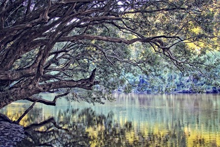 A Place To Dream by Incredi art print