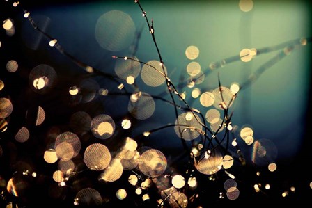 Fairies In My Garden by Incredi art print