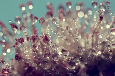 My Summer Garden by Incredi art print