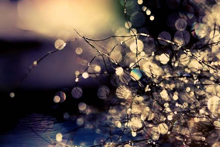 When Fairies Dream by Incredi art print