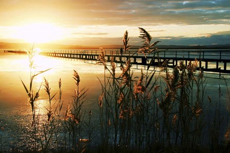 Wish You Were Here by Incredi art print