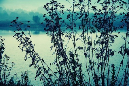 Blues In The Morning by Incredi art print