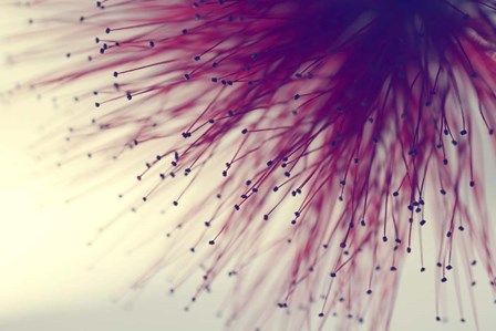 Into The Unknown by Incredi art print