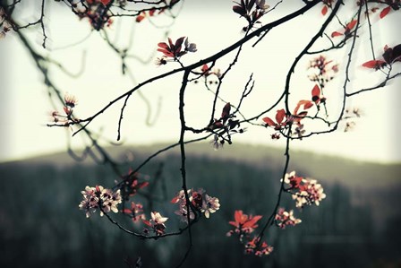 Listen To The Trees by Incredi art print