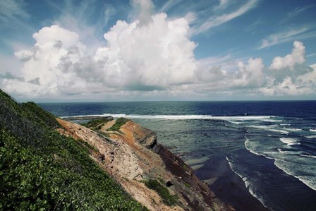 Picture Perfect Day by Incredi art print